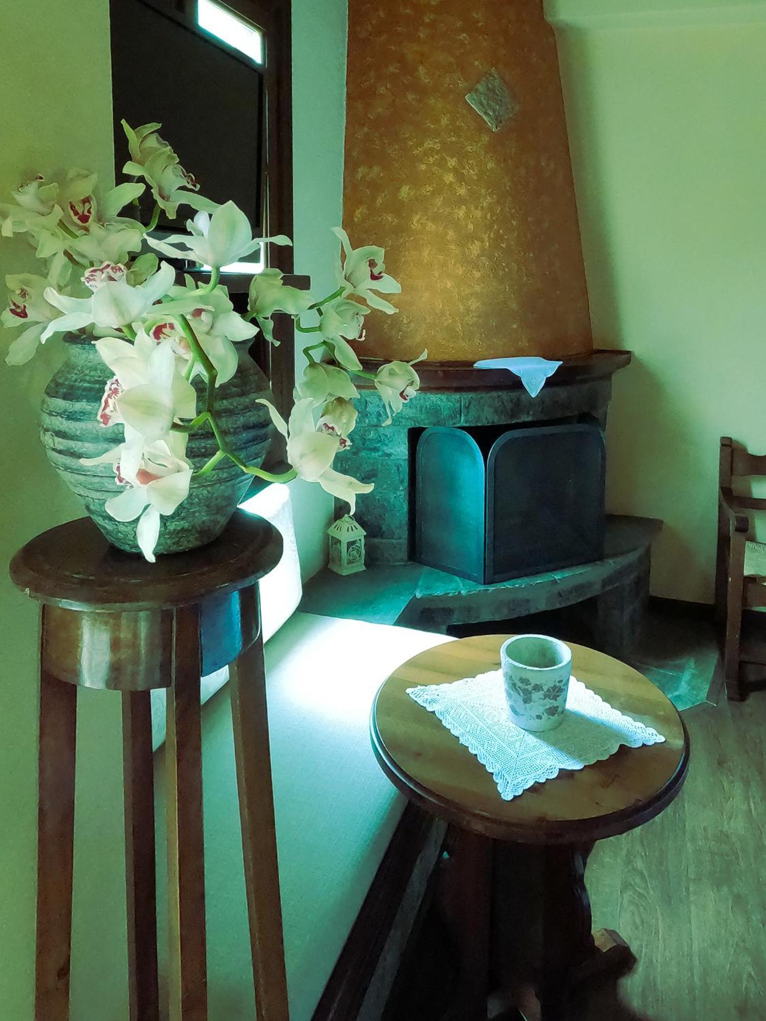 Guest house Amalthia Traditional *