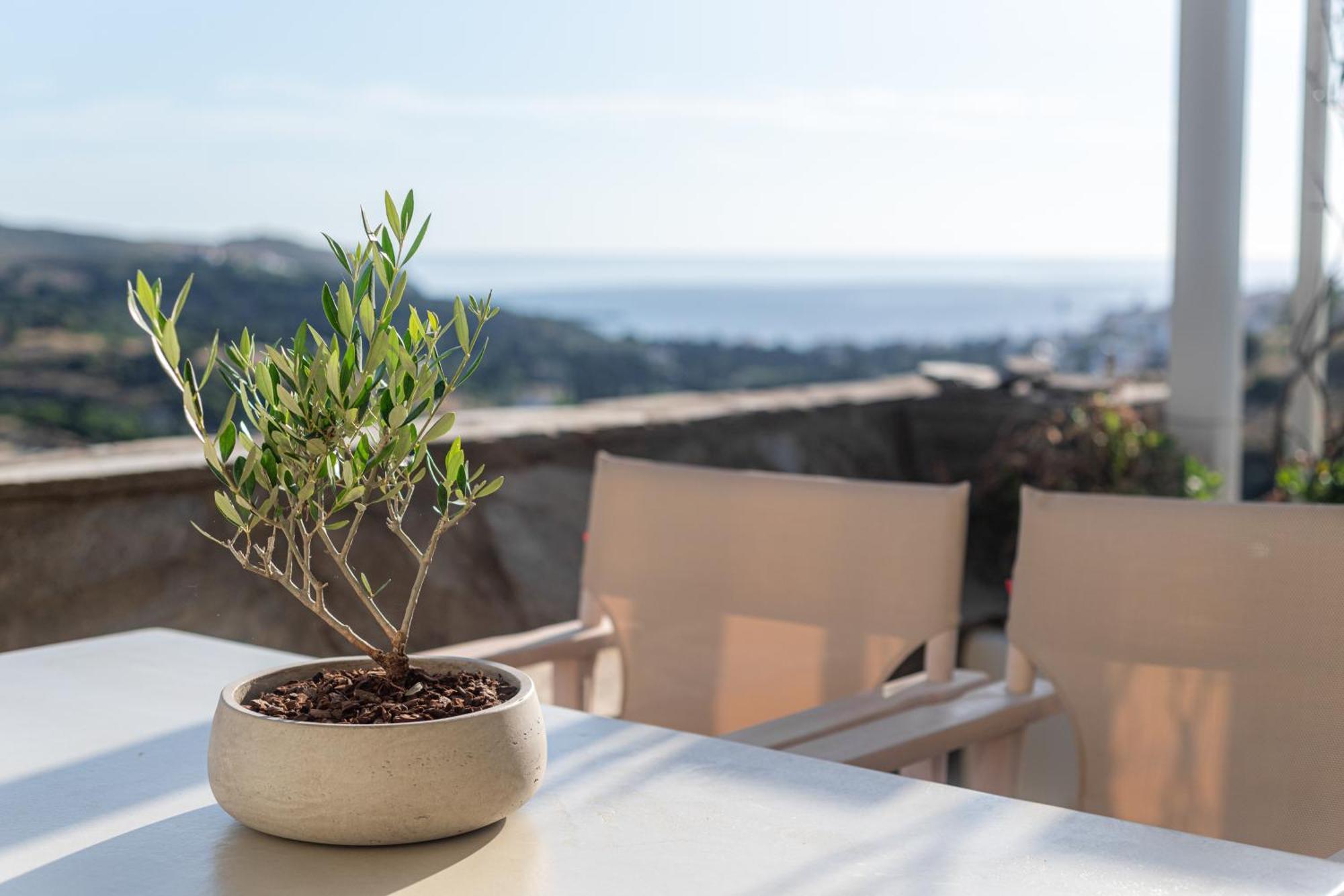 Casa Di Fiori 3* Andros Town