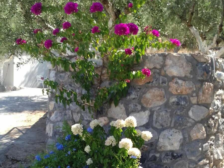 Blue Yard Kalamata