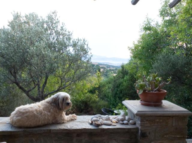 To The Garden * Aliki (Paros)