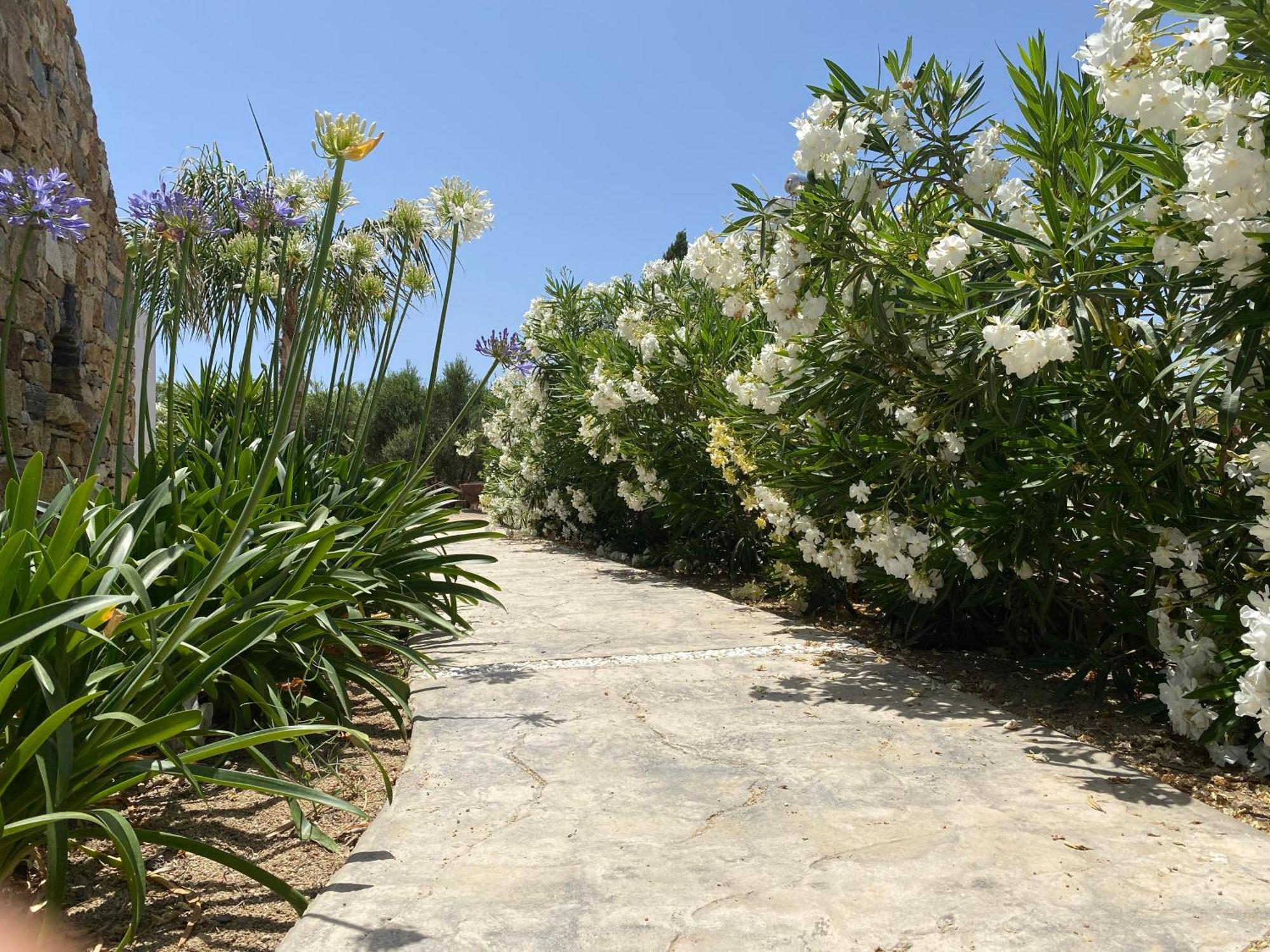 Villa Seaside Naxos • *