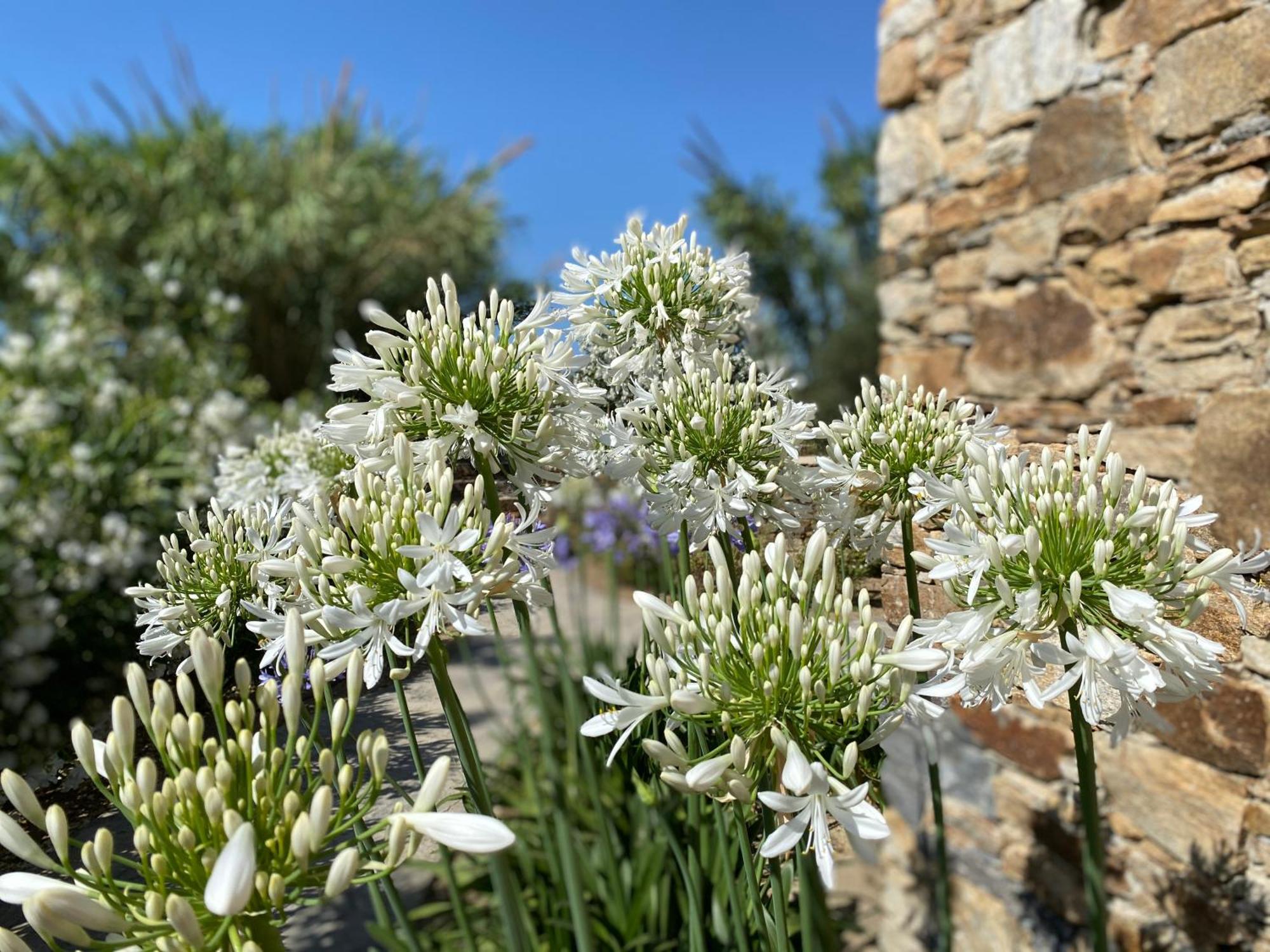 Villa Seaside Naxos •