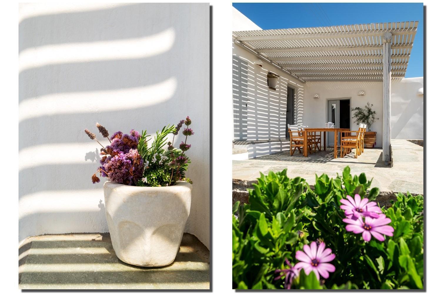 Exochi Traditional Apartment Krotiri