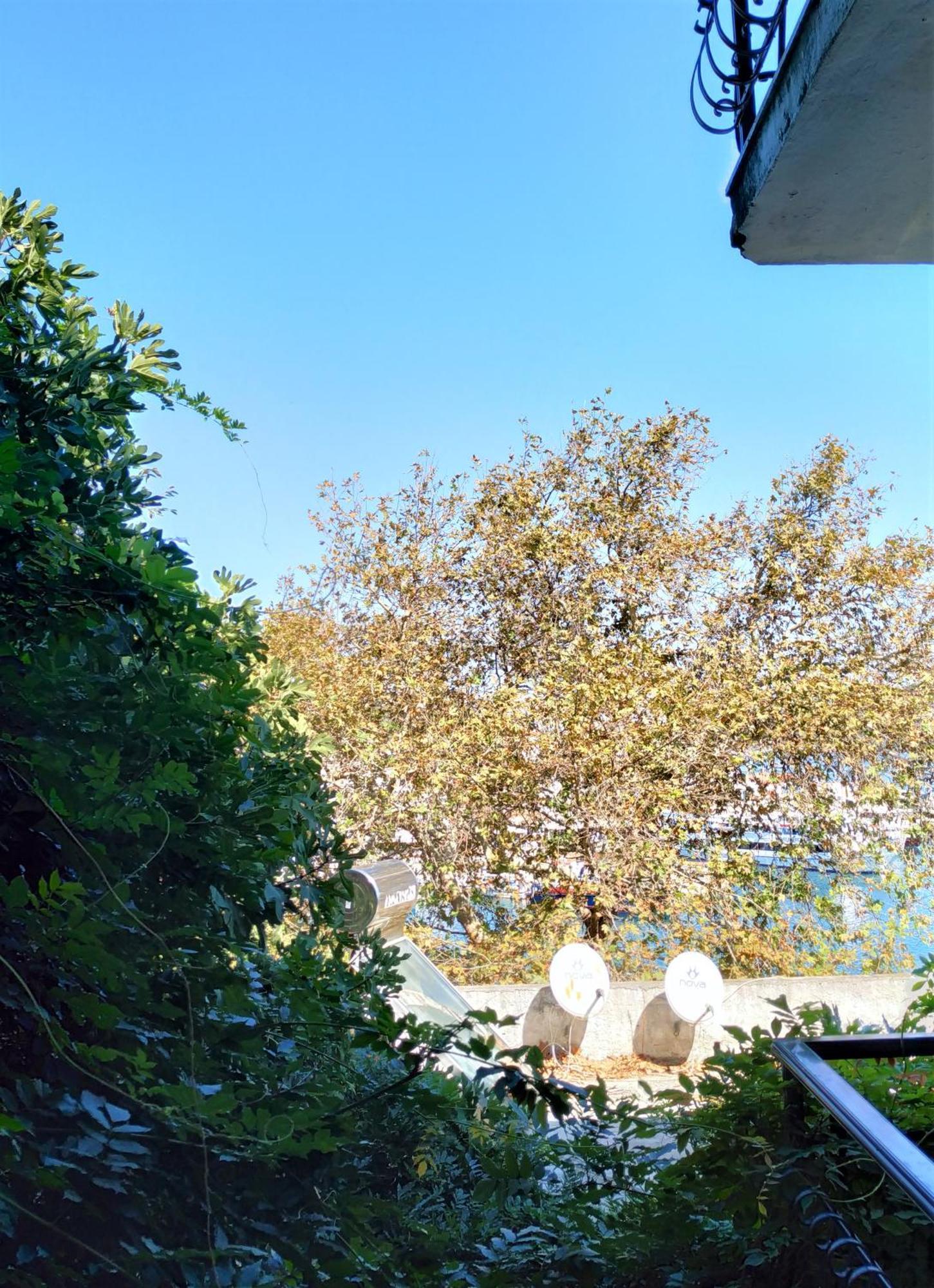 Guest house Argo Skiathos Town