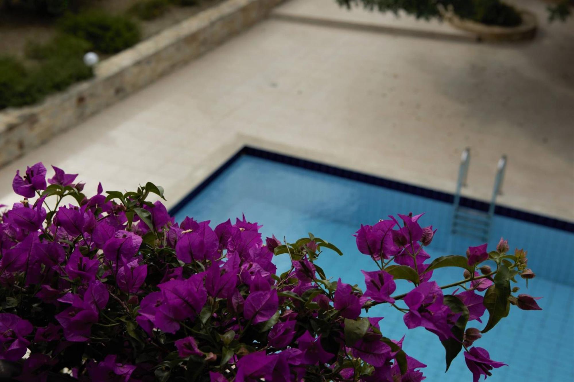 Douliana Villas Douliana