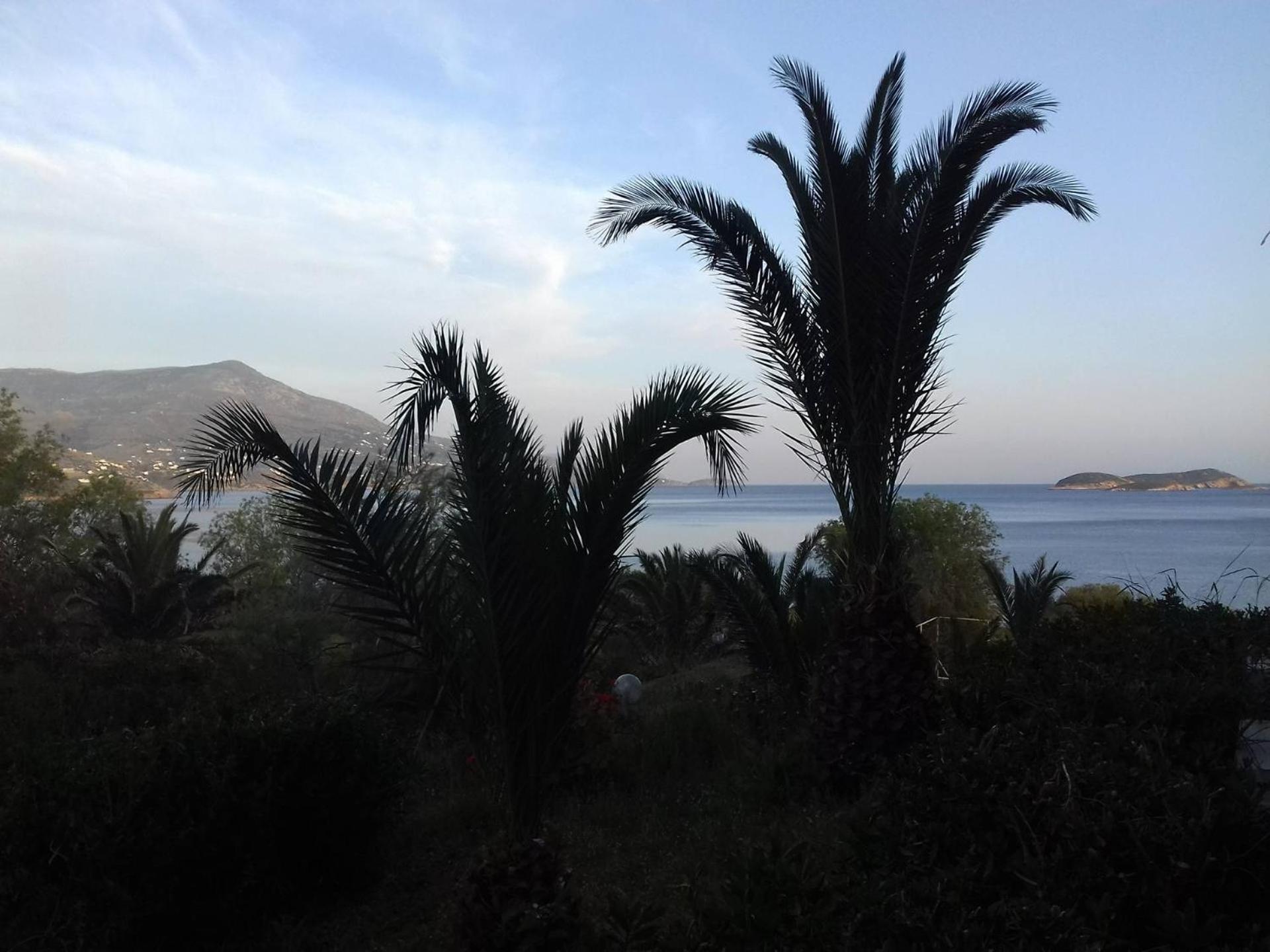 Andros Hotel 3*