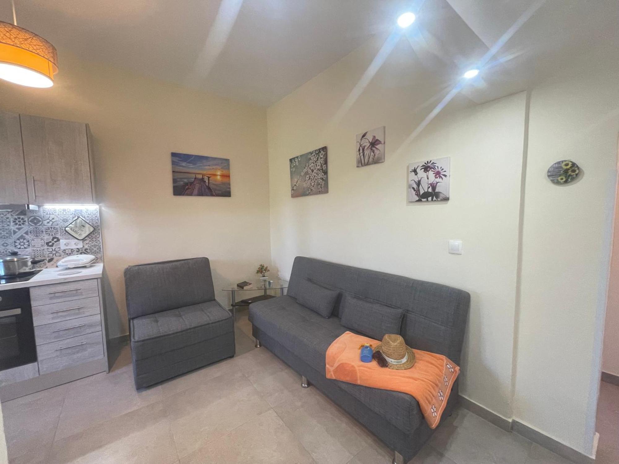 Corfu Dream Fani Apartment *