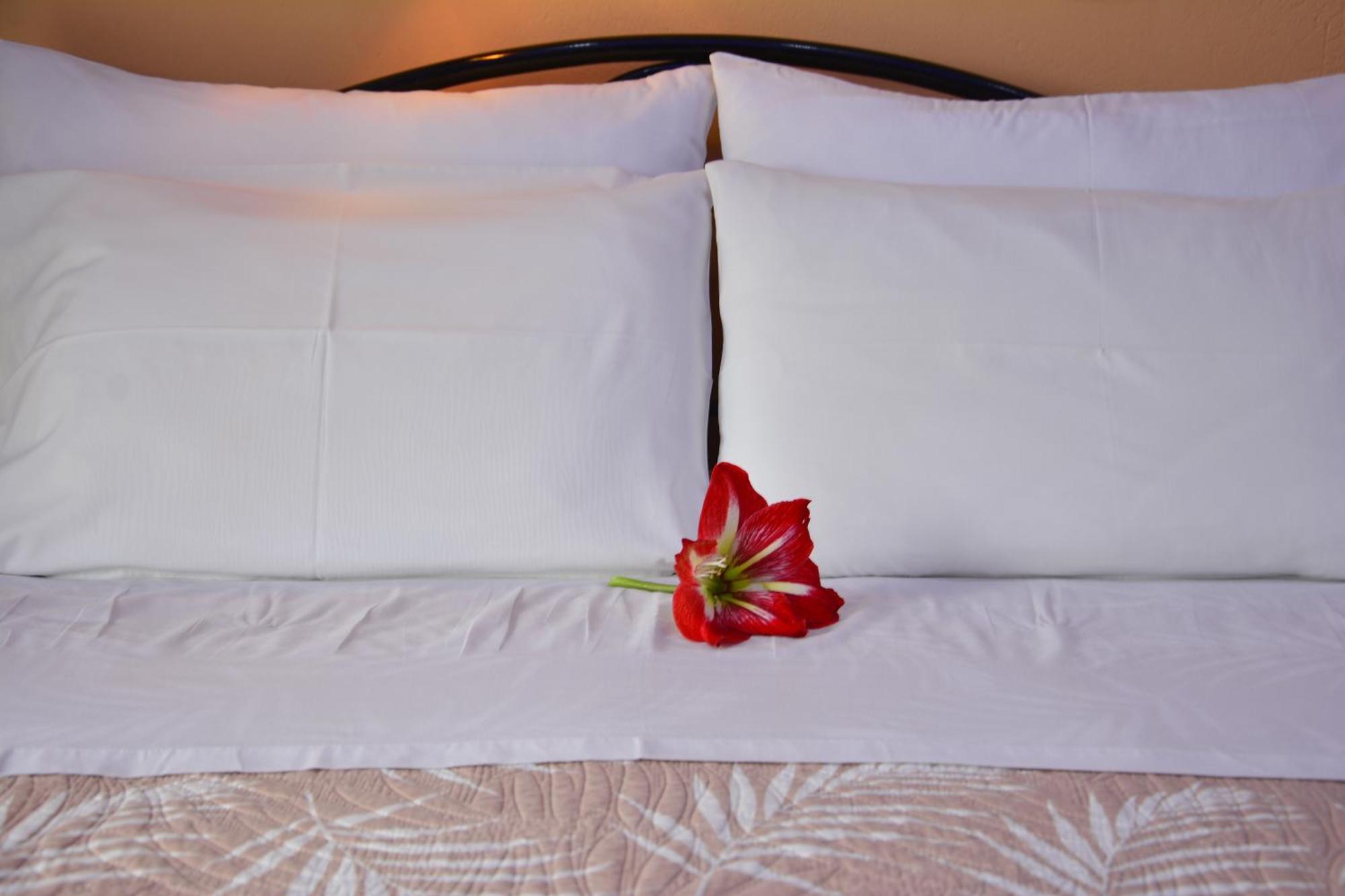 Apartment Corfu Dream Fani *