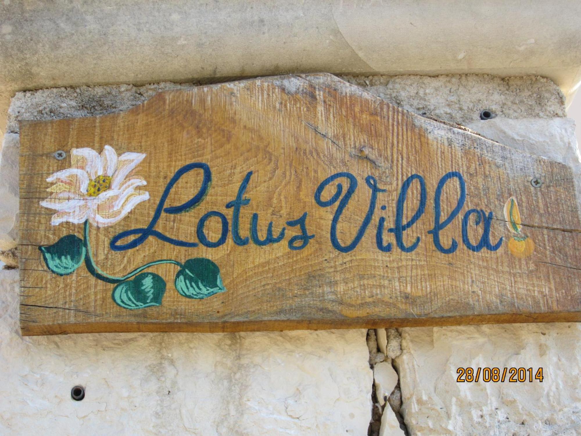 Aloe & Lotus *