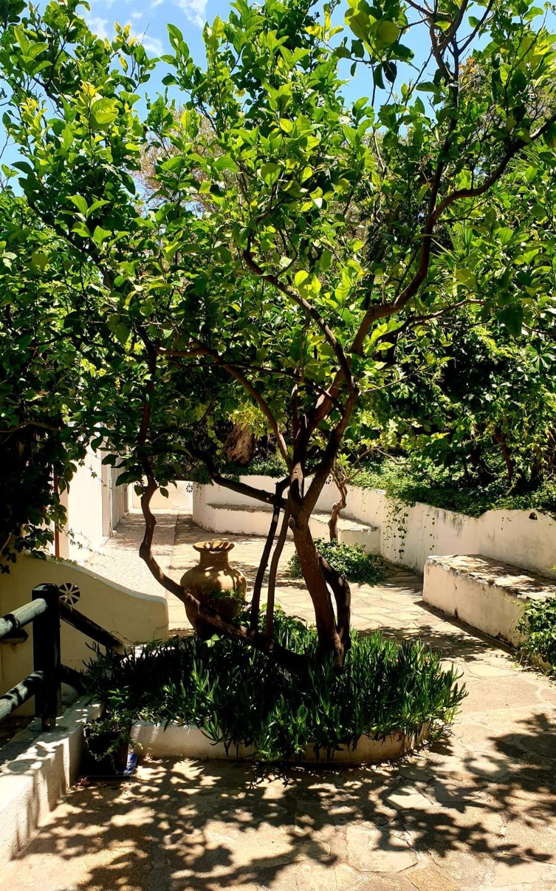 Studios Limnionas *