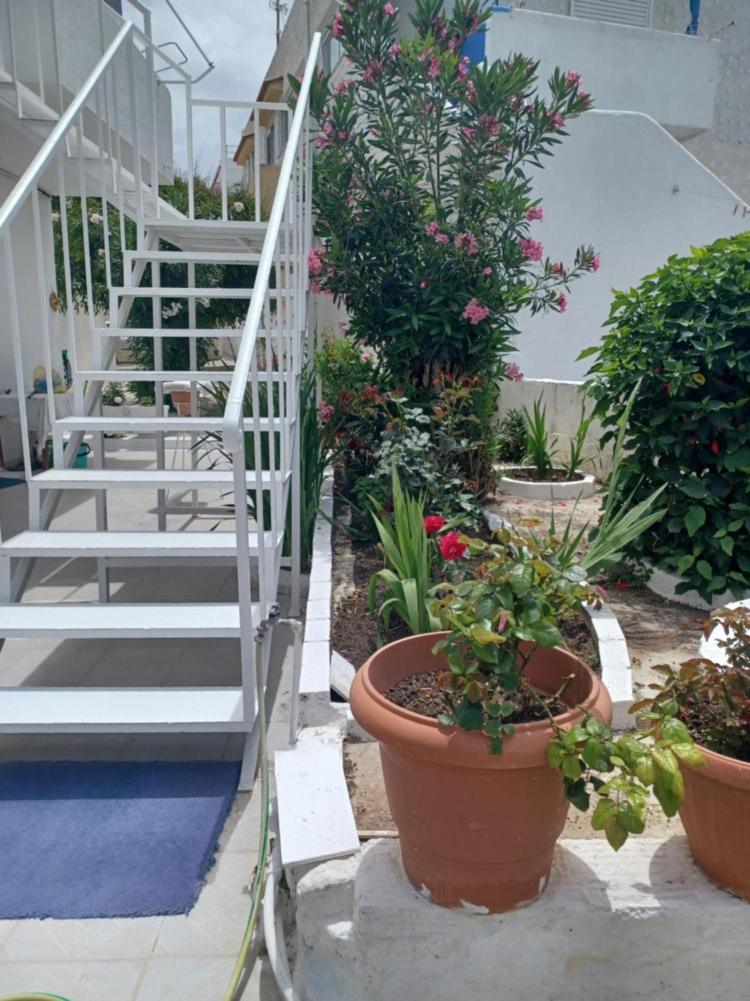 Apartment Mastichari Nektaria Studio Mastichari (Kos)