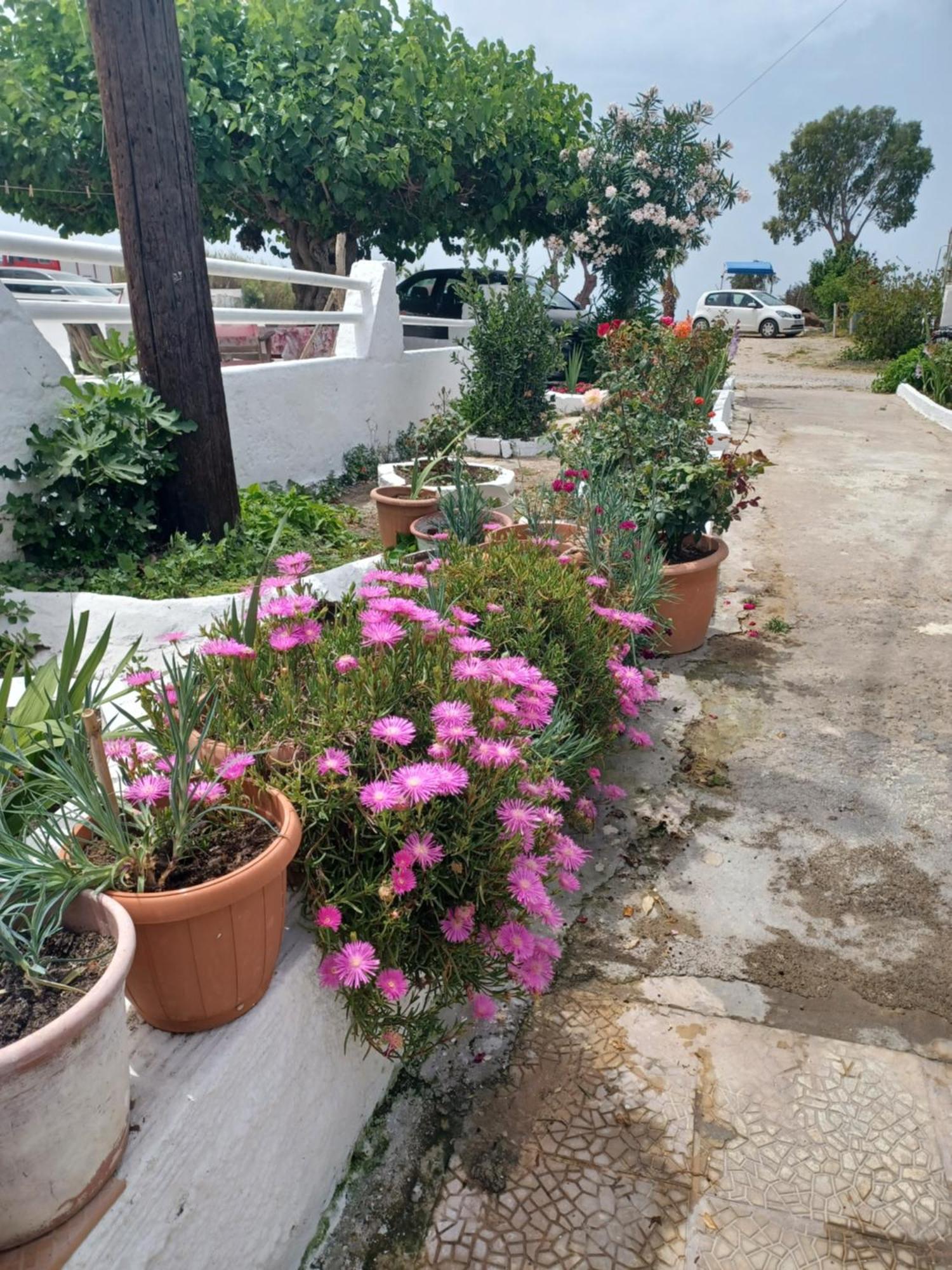 Mastichari Nektaria Studio * Mastichari (Kos)