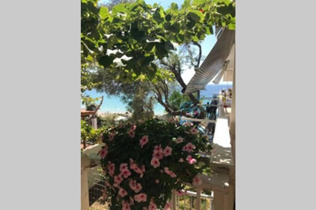 Stefani With A Sea View Terrace! * Nea Moudania