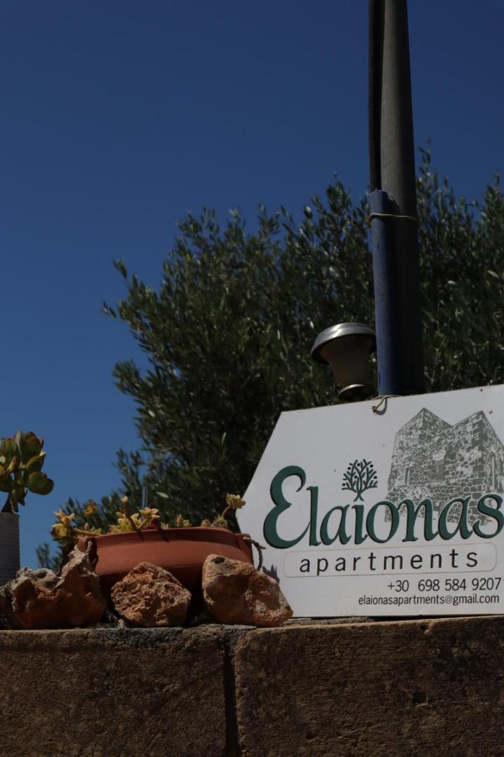 Elaionas 2 * Riglia