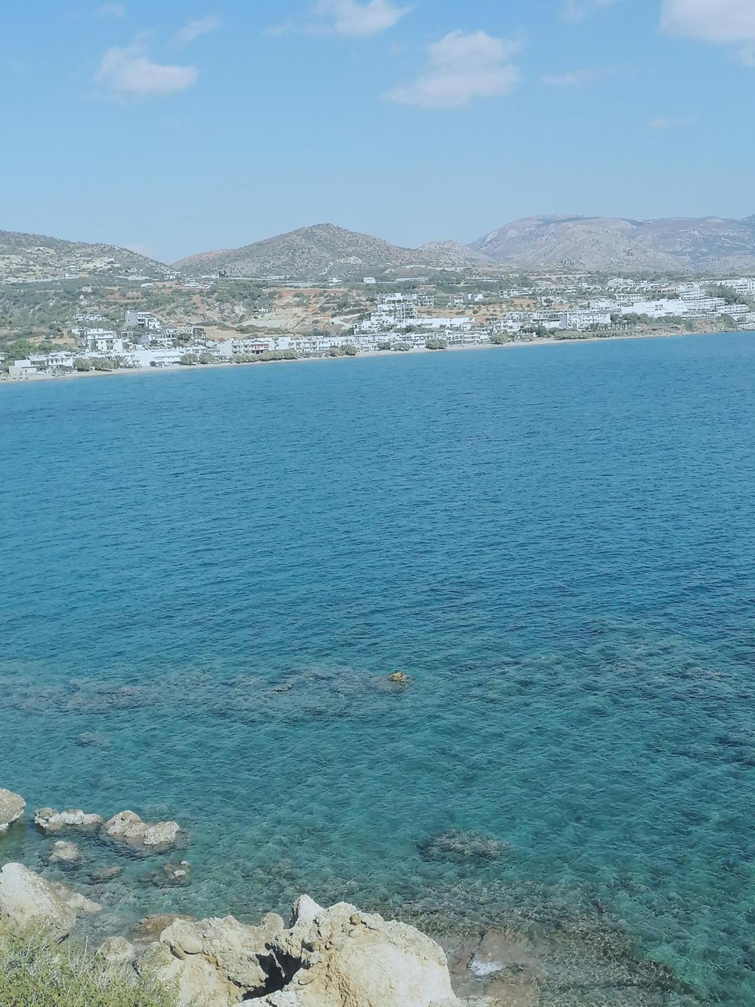 Makry Gialos Grapevines 11 - Makry Gialos Holiday home *