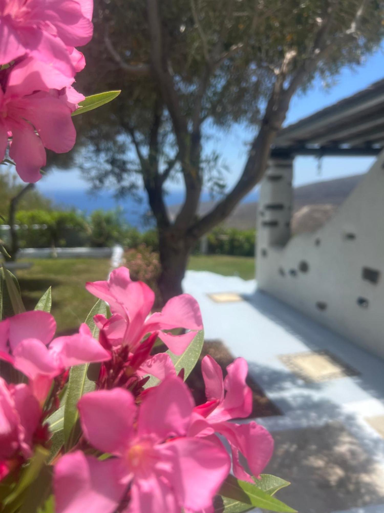 Apartment 'akri' Falatados
