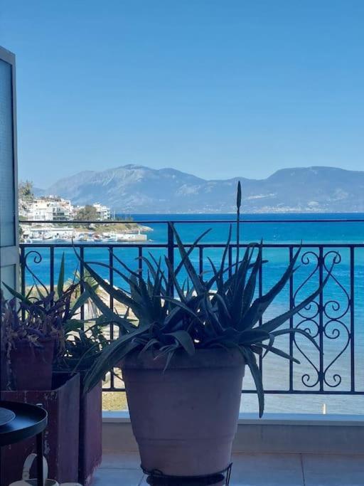 Apartment Bright With Splendid Sea View!