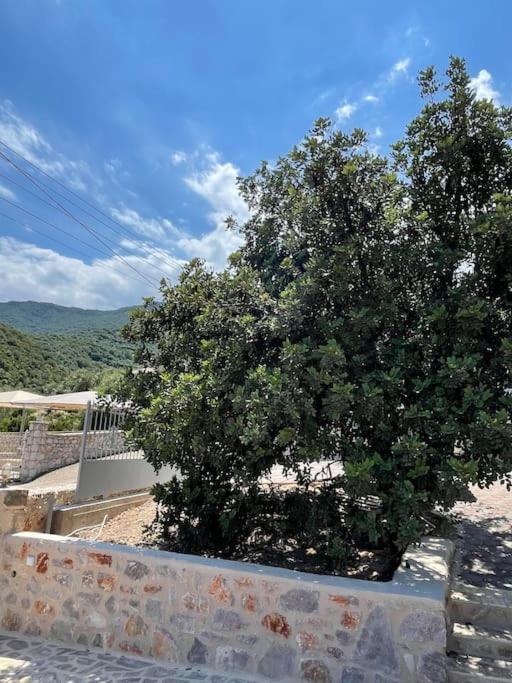 Popi S House * Poulithra