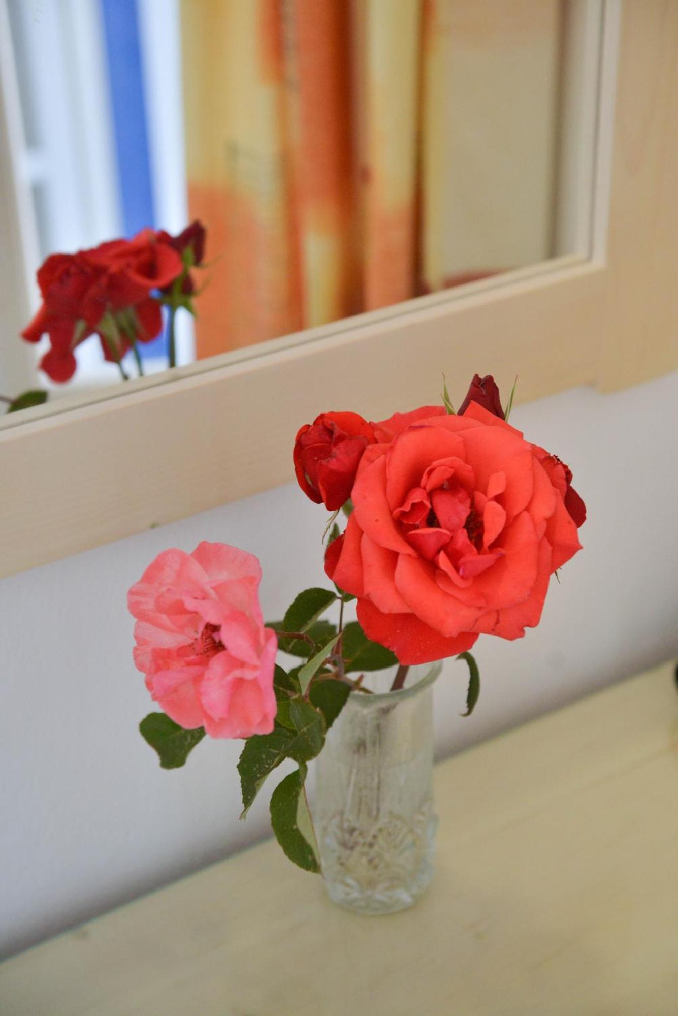 Plaza Apartment Agia Anna (Naxos)