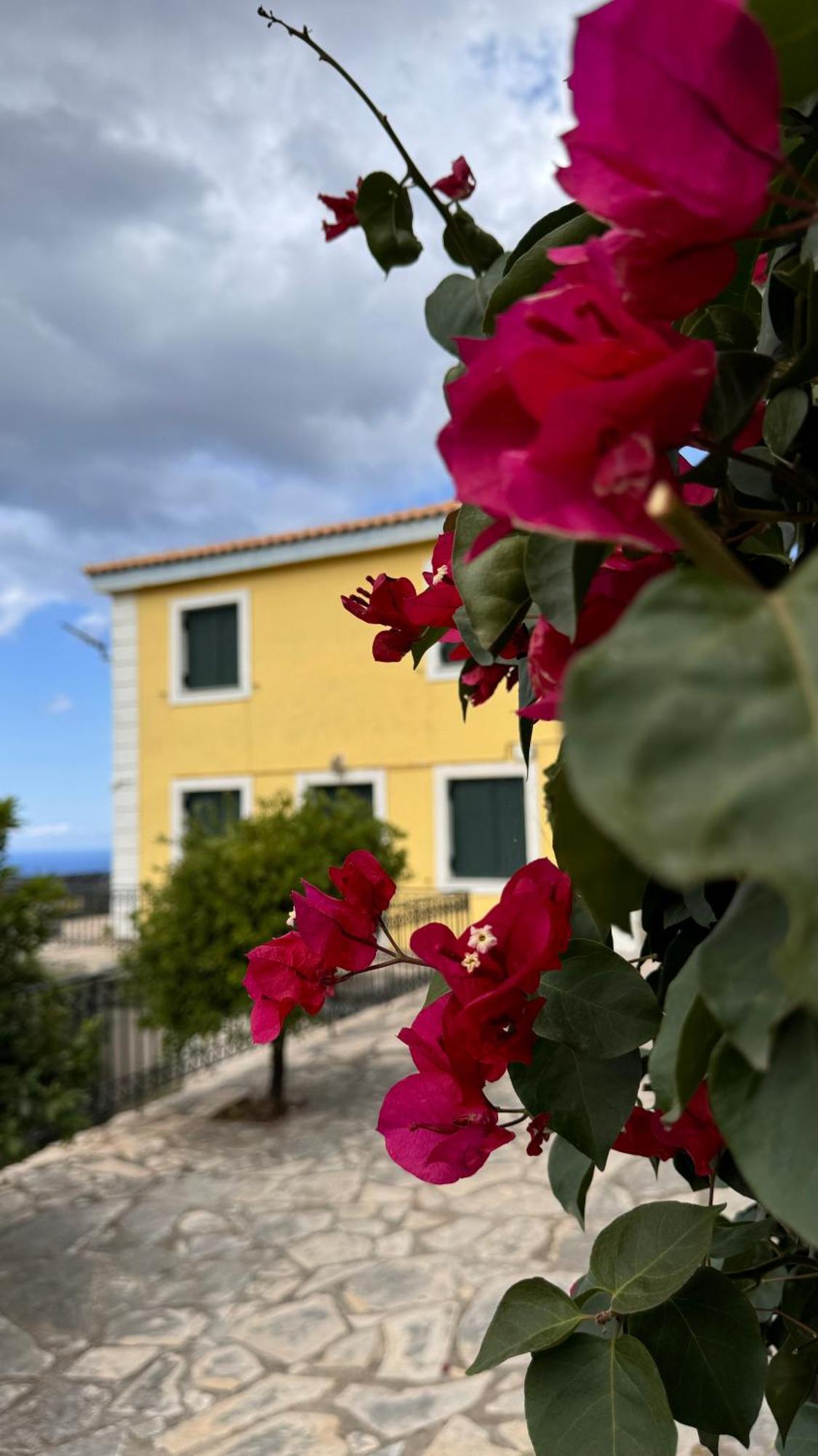 The Edge - 2024 Renovated * Argostoli (Kefalonia)