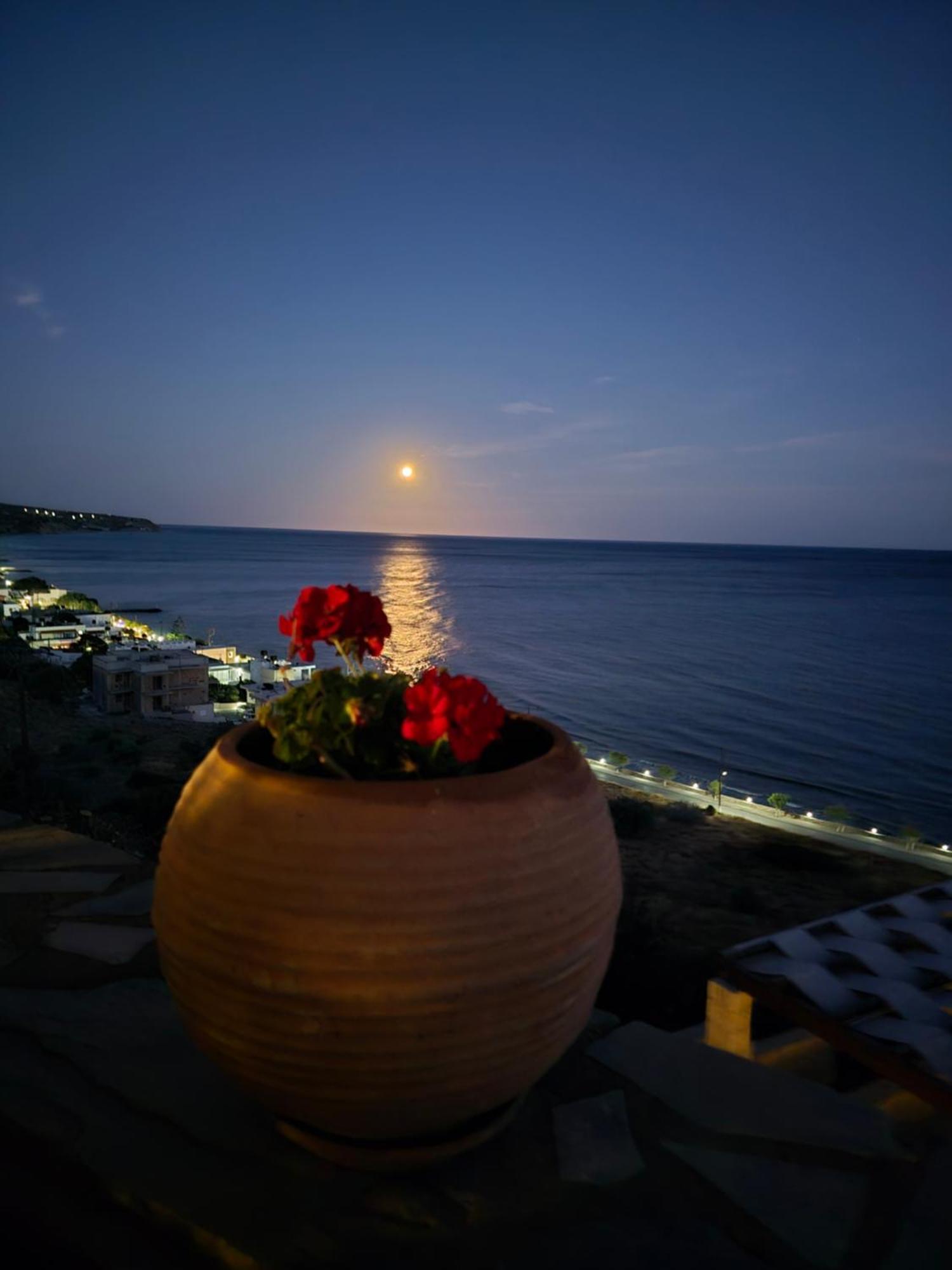 Breathtaking Sea View Flat In South Crete Apartment *
