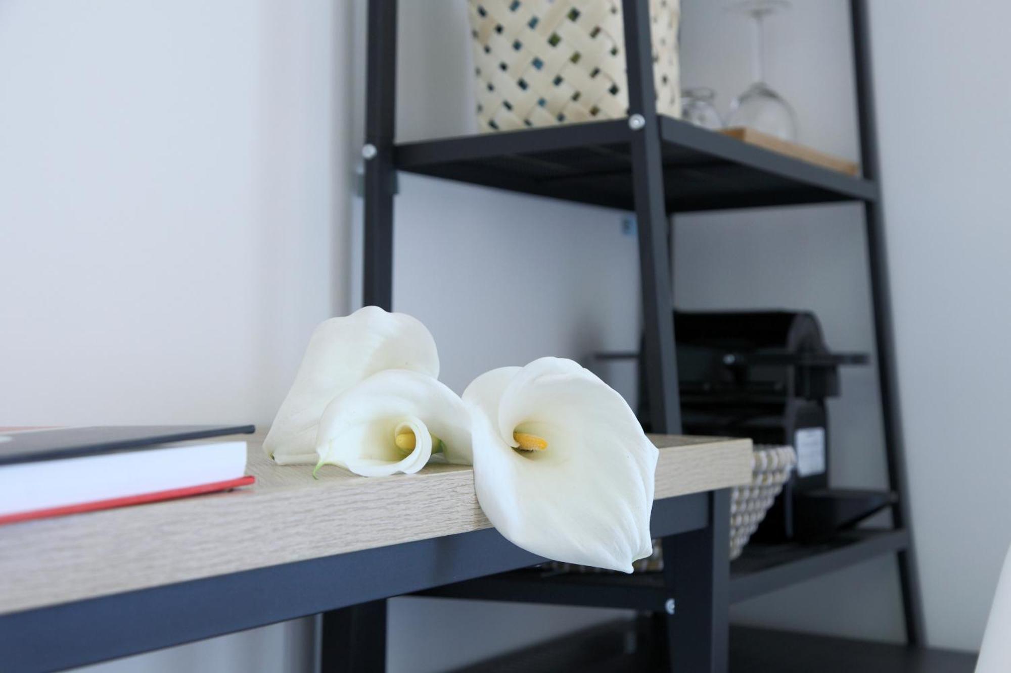 Aparthotel Almyra Seafront Lygia (Lefkada)