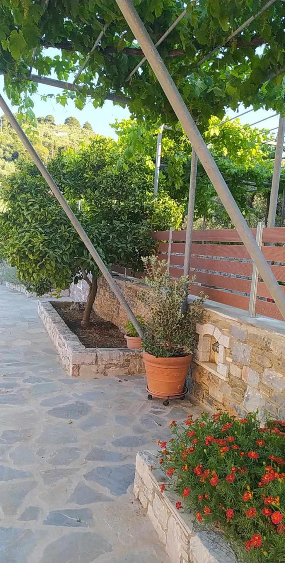 Glyna House * Skopelos Town