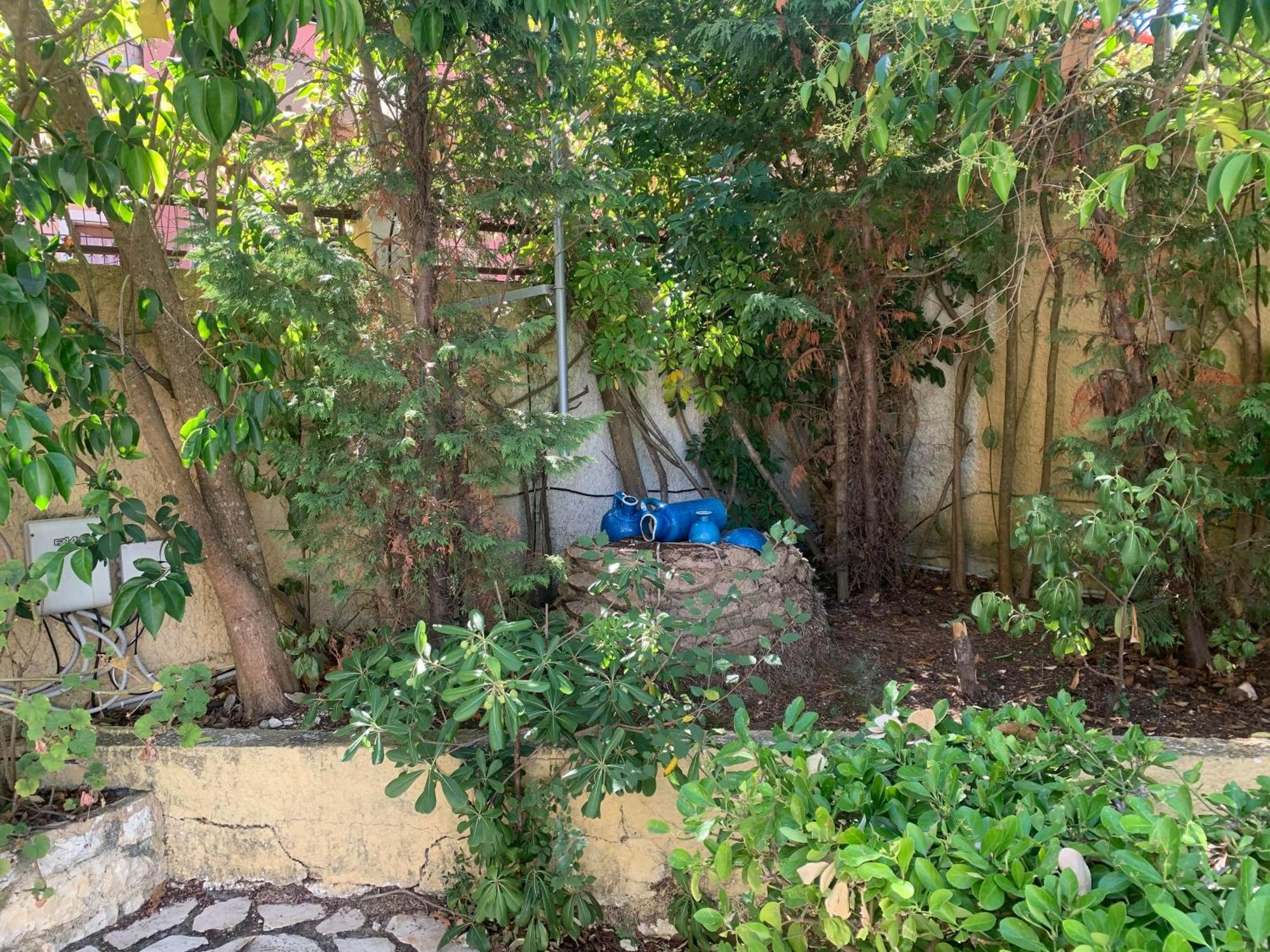 Eleni Corfu 10 Bedroom Seaview With Private Pool *