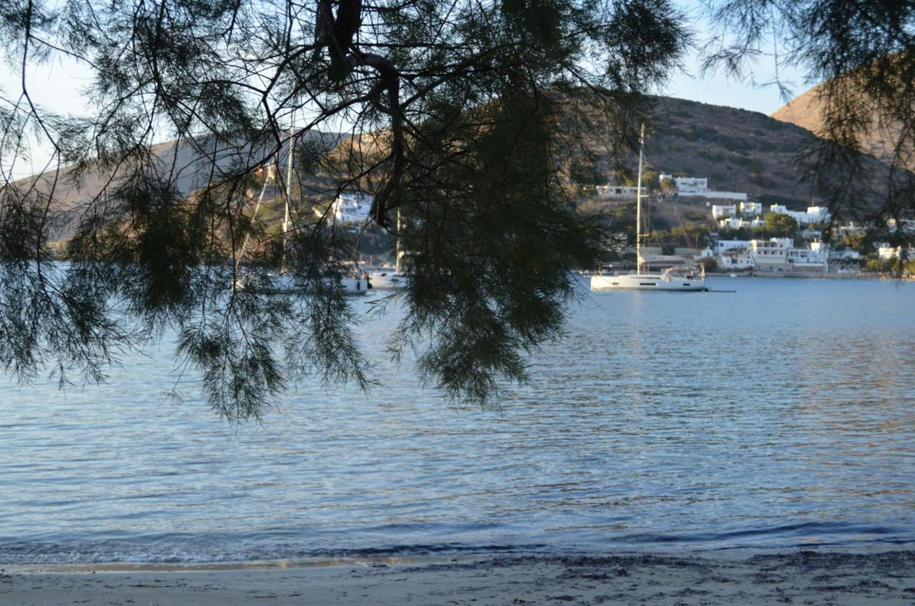 White Lotus Seaside *