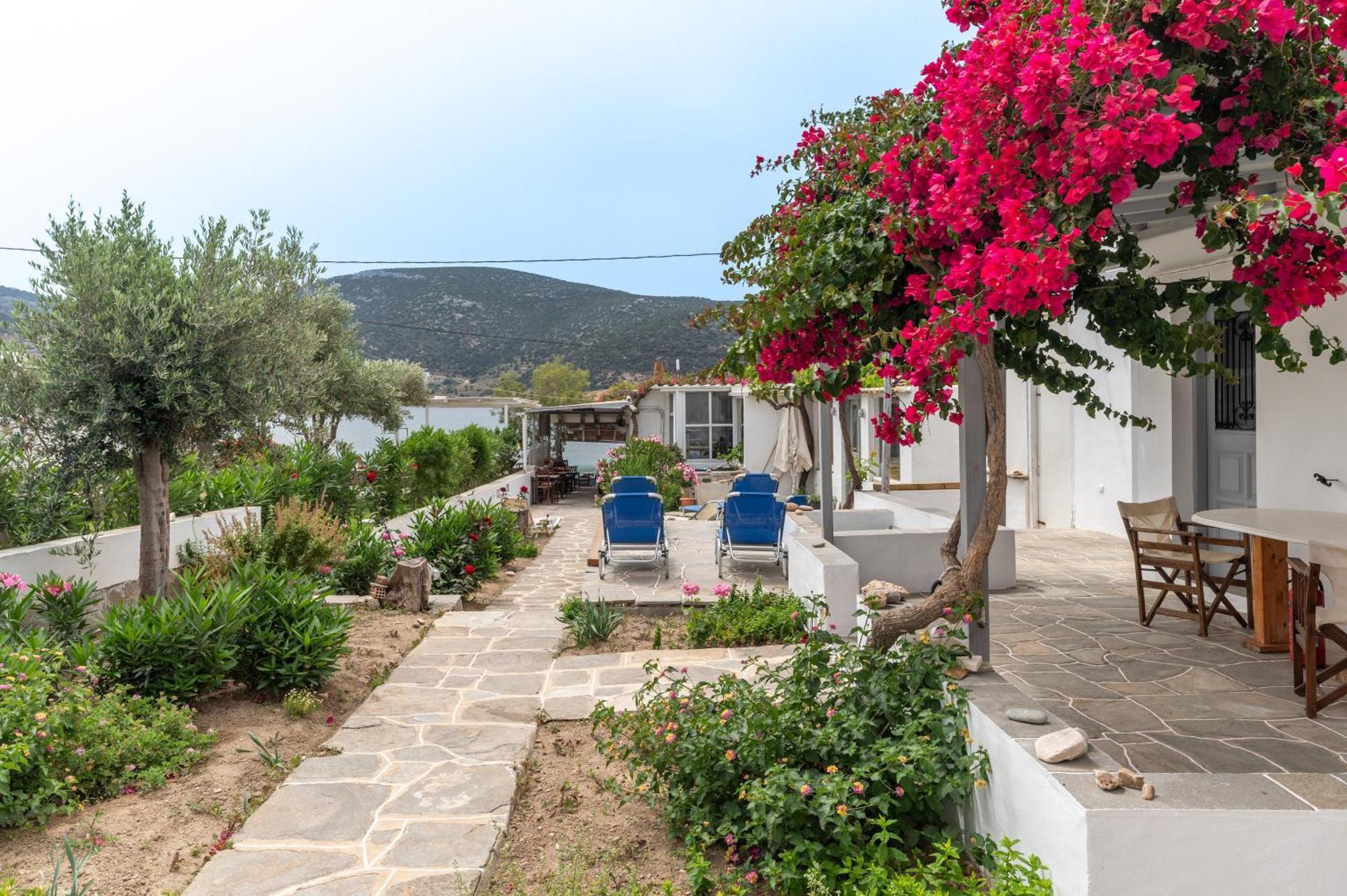 Sifnos 4 *