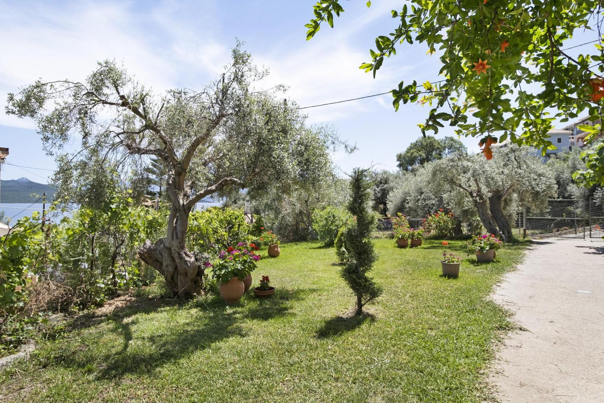 Tasoula With Garden View Apartment Nikiana