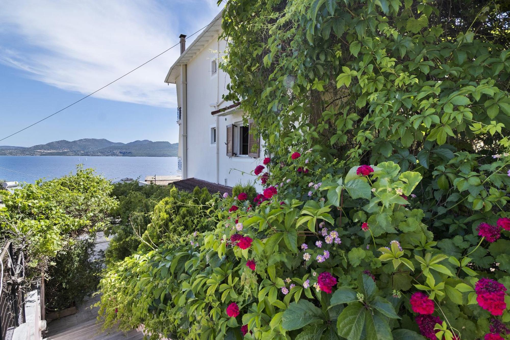 Apartment Tasoula With Garden View