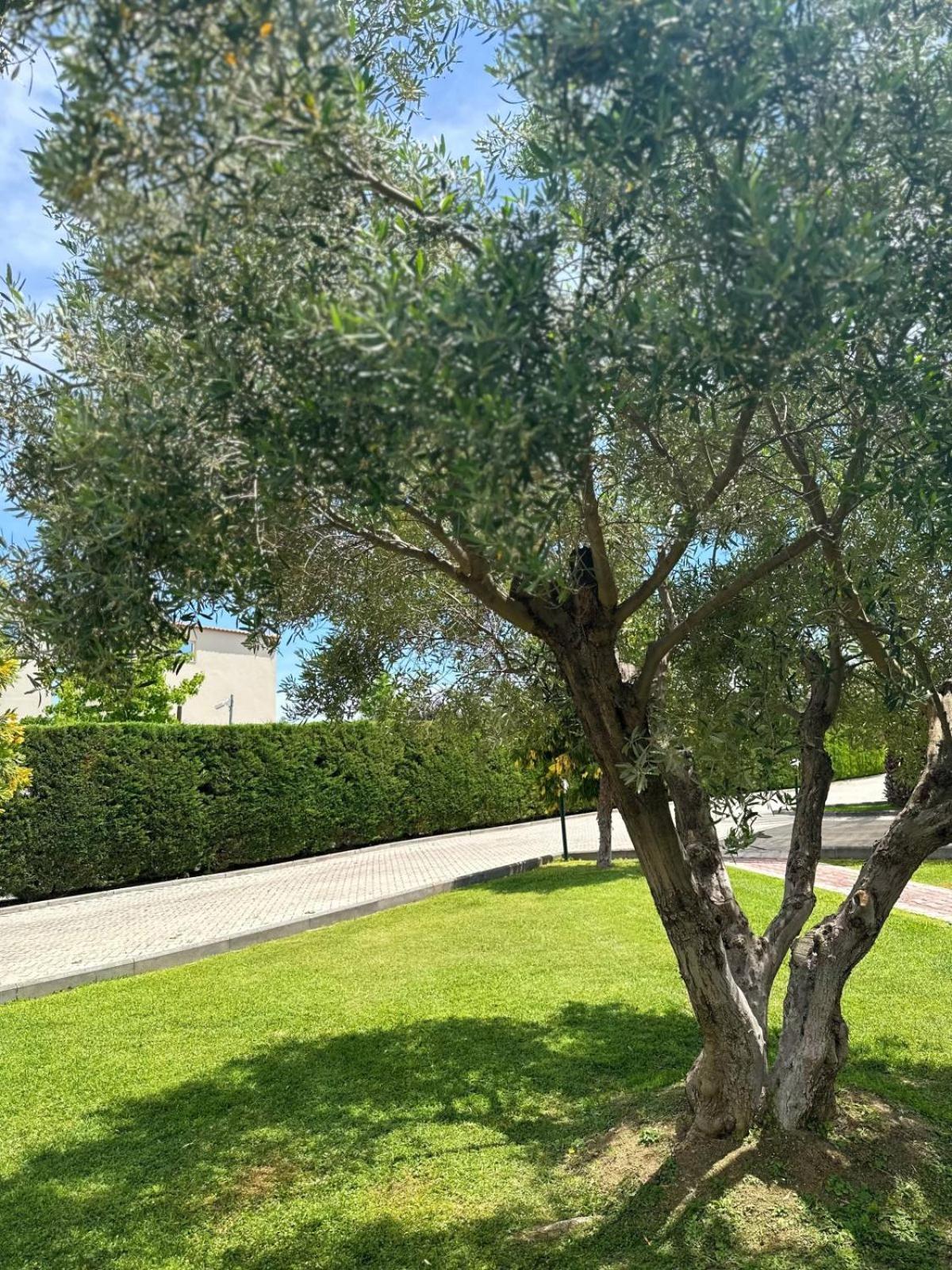 Villas Hanioti