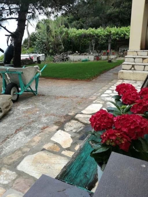 Corfu Sea Front Apartment,the Nest Ii Agios Matthaios (Corfu)