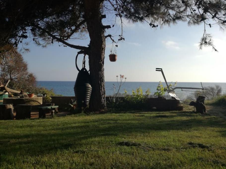 Corfu Sea Front Apartment,the Nest Ii * Agios Matthaios (Corfu)