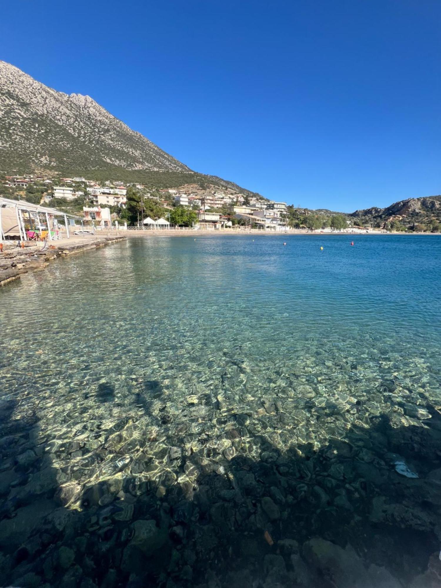 Saltsea Apartment Aliki (Boeotia)