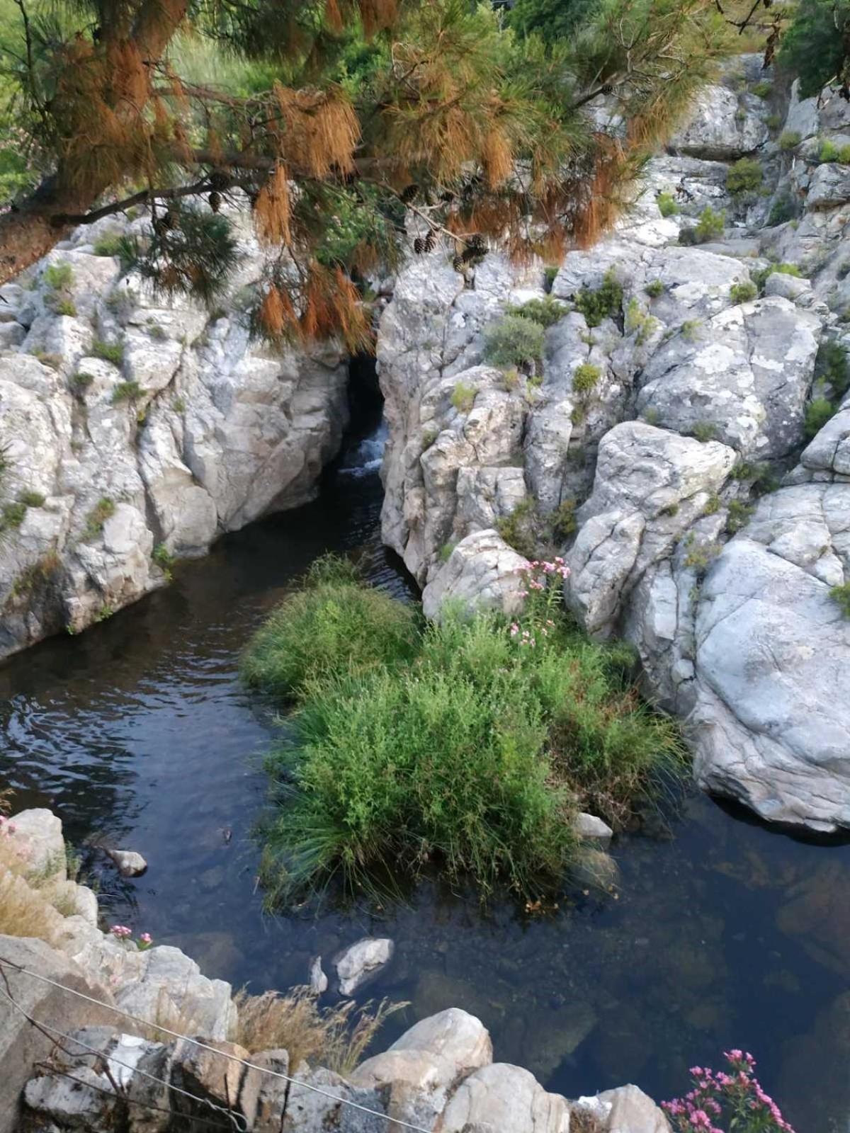The Mesaktis River Apartment Gialiskari (Icaria)