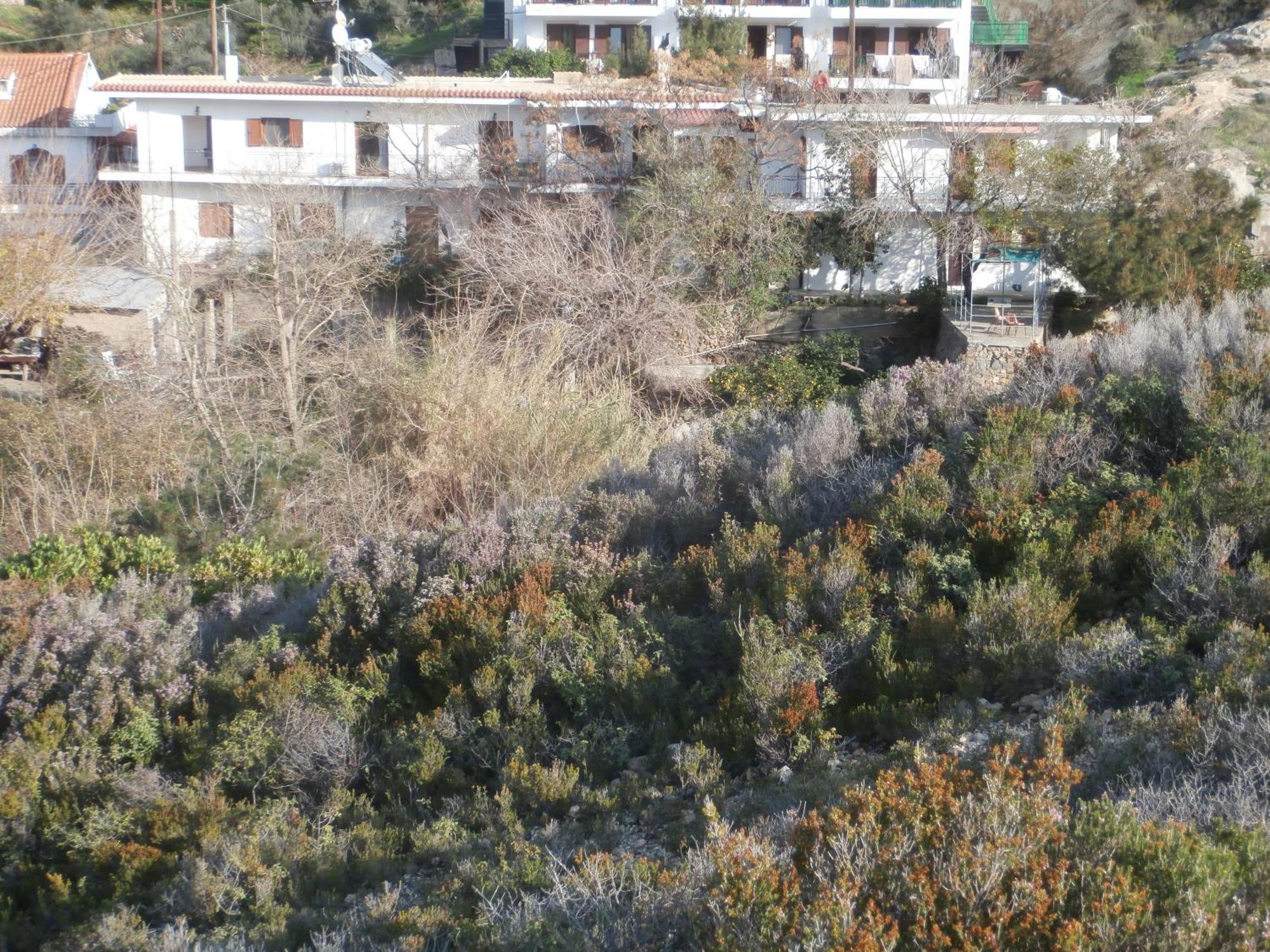 The Mesaktis River *