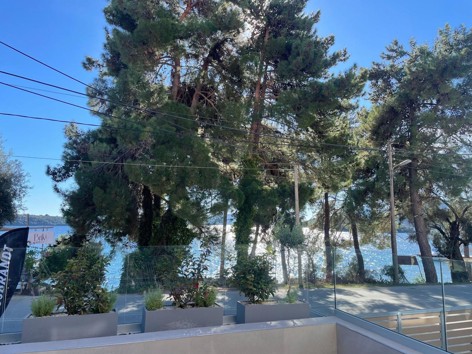 Villa Ionian Elite Beachfront *
