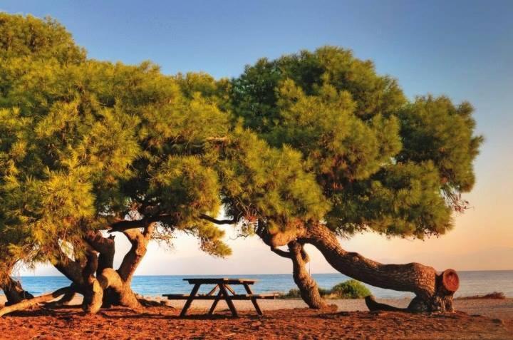 Villa Melissi Luxury Xylokastro