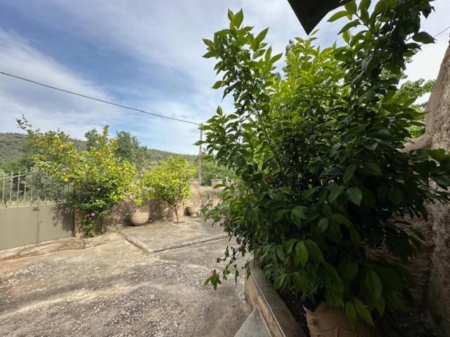 Apartment πυργοσπιτο χαντζακου