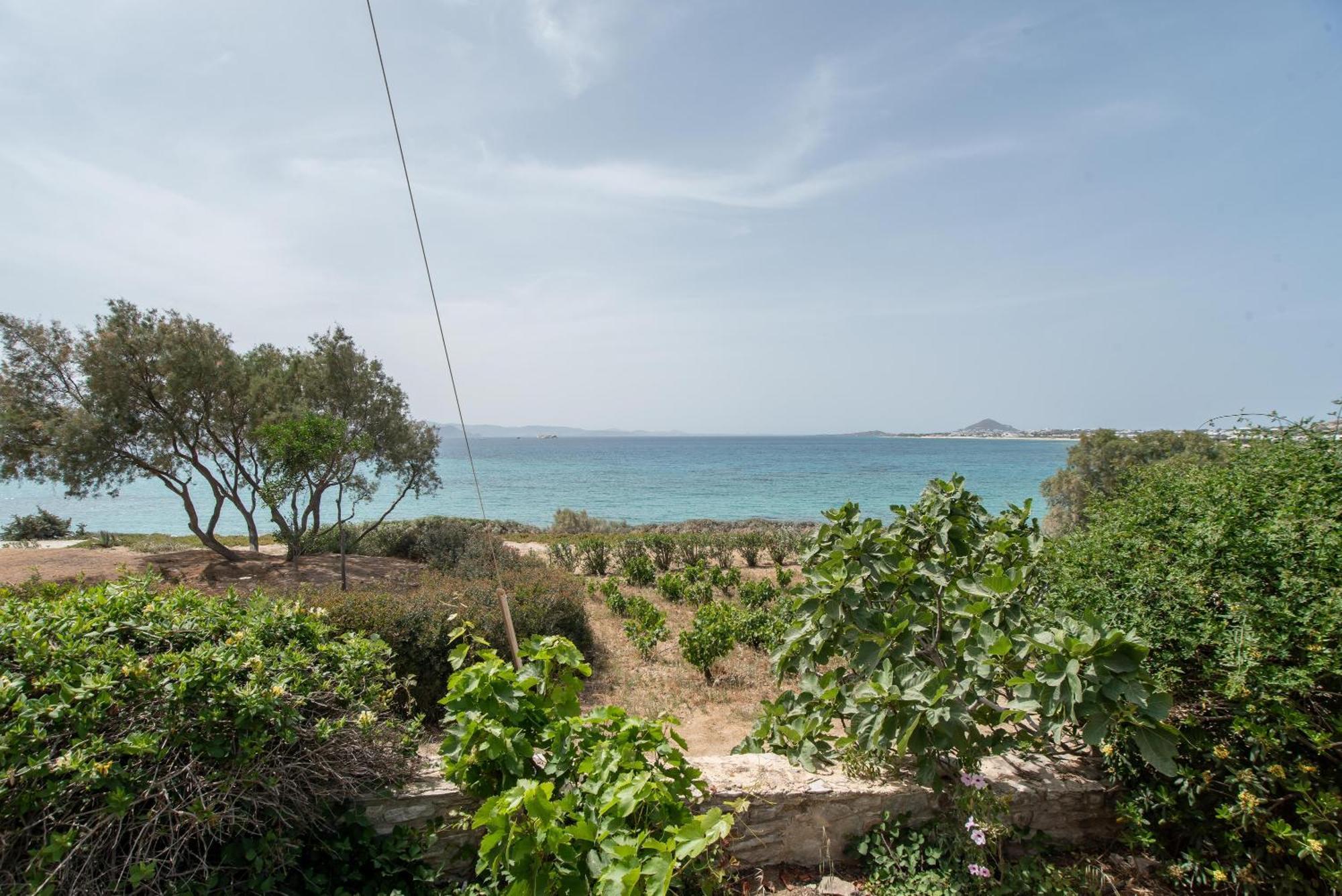 Holiday home Orkos View House Plaka (Naxos)