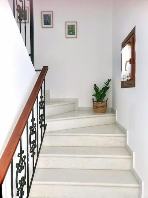 Anemos Penthouse Apartment Naxos City