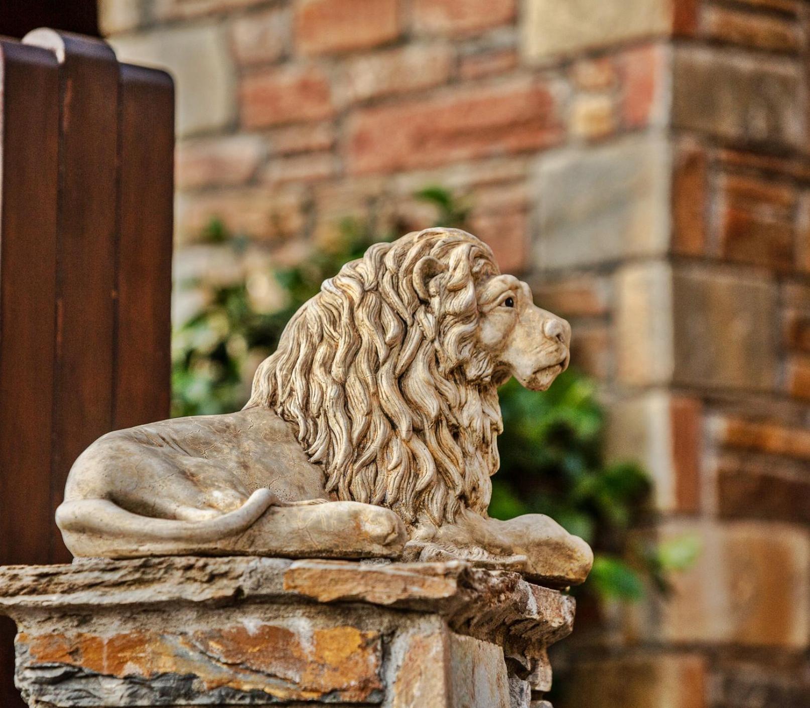 Aparthotel Lions Nine 3*
