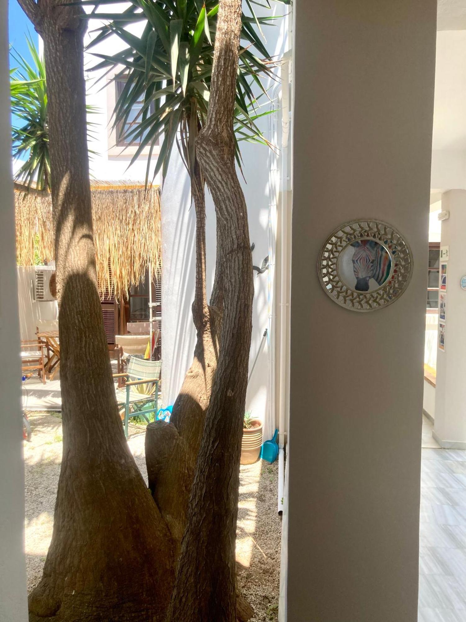 Aparthotel Tree Of Life Art 2*