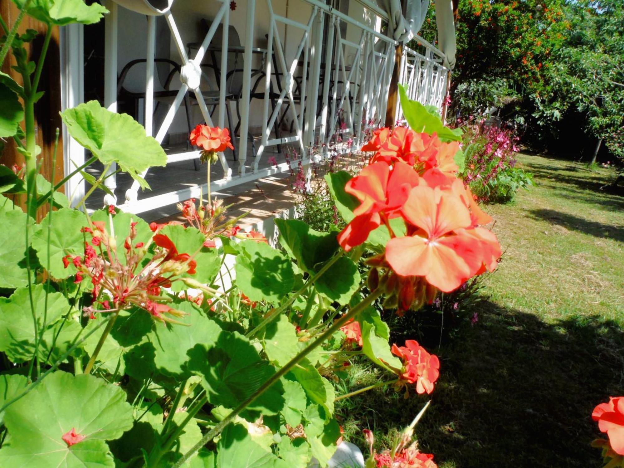 Guest house Port Pet Friendly *