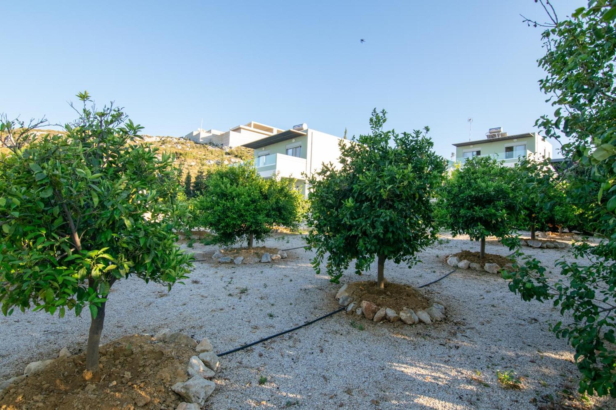 κatakis Agios Onoufrios