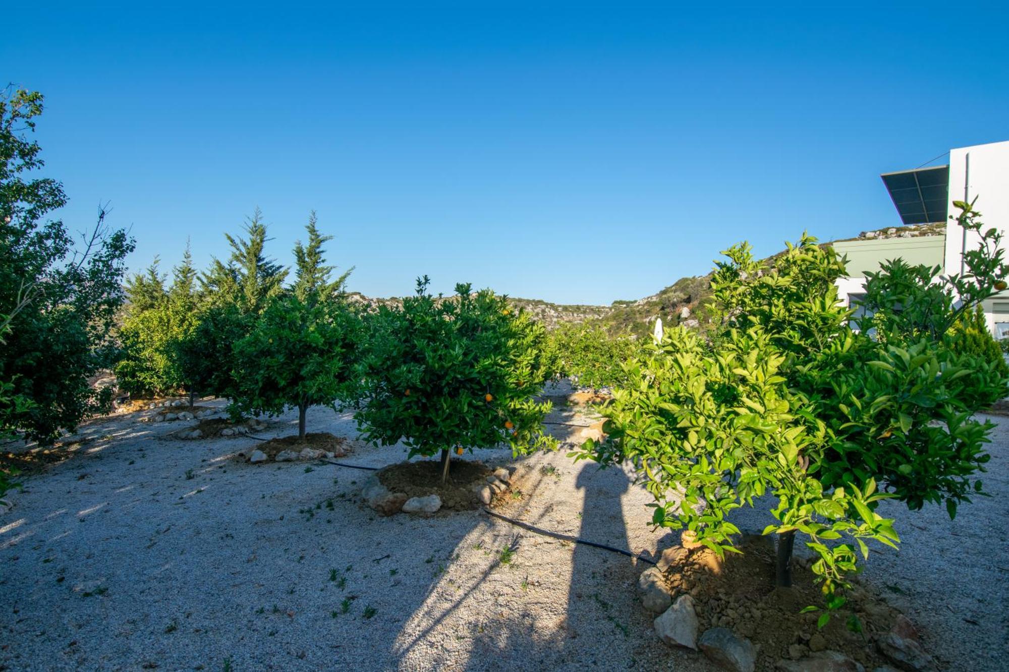 κatakis