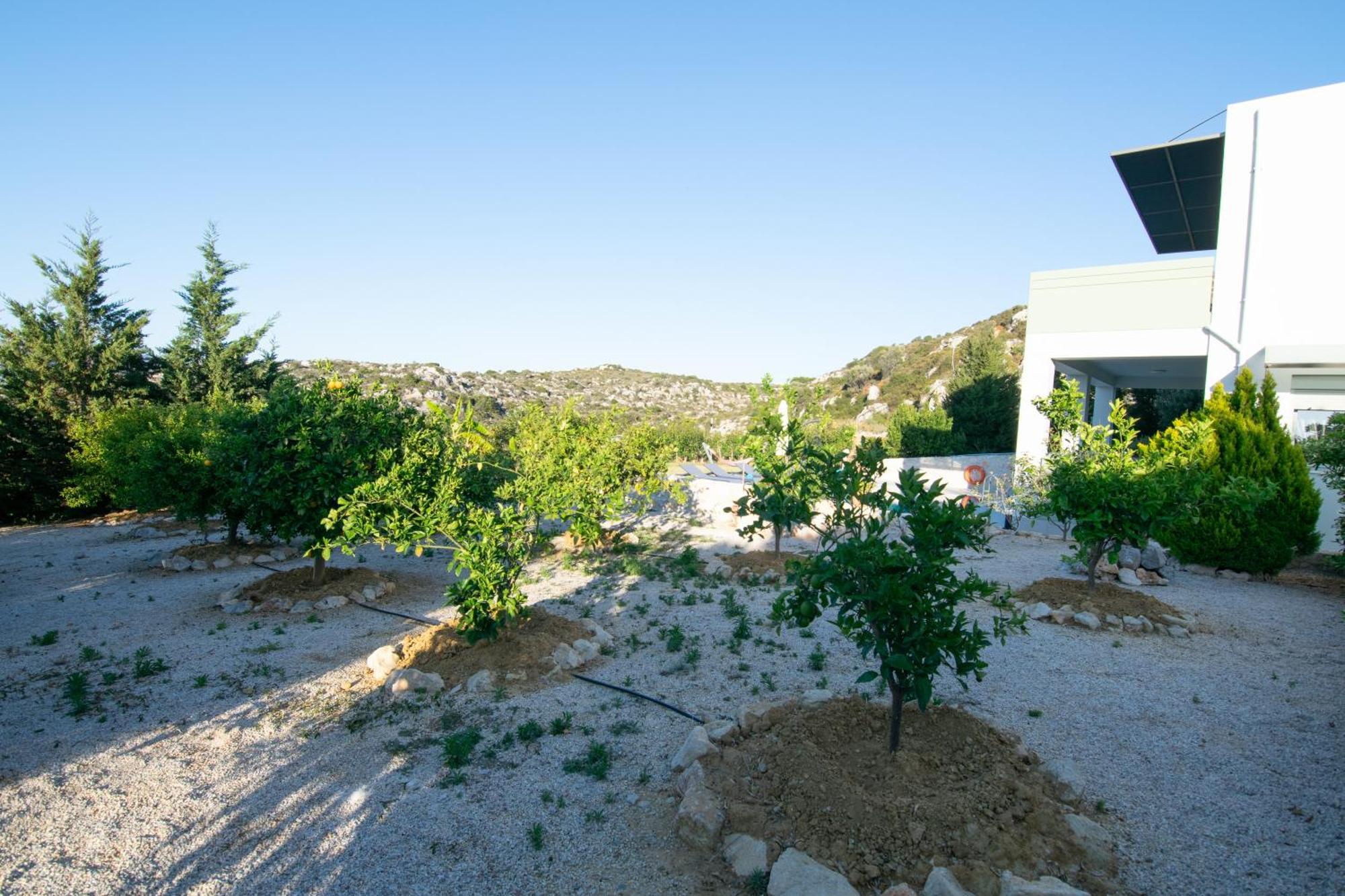 κatakis *