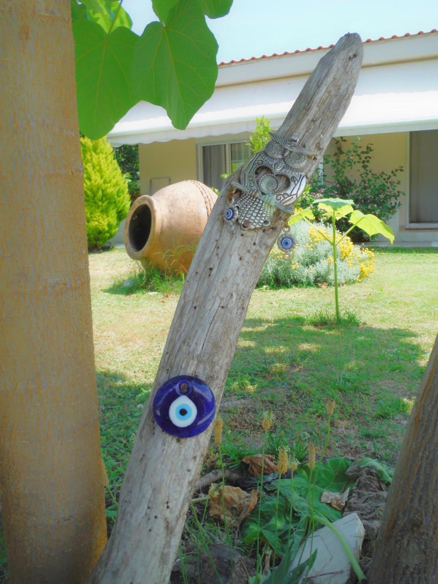 Port Pet Friendly Guest house